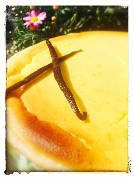 ricotta, tarte, leicht, frühling, Rezept, idee, einfach kochen, einfaches rezept, rezepte, schweizer foodblogs, foodwerk.ch, foodwerk, foodblog, blog, food, kochen, backen, cook, bake, swiss, swiss foodblog, foodblogger, foodie, instafood, foodblogs,